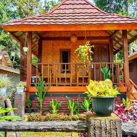 Pondok Rinjani Bungalow Tetebatu Exteriér fotografie